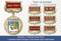 Медаль с гербом города Сясьстроя Ленинградской области с бланком удостоверения