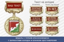 Медаль с гербом города Краснозаводска Московской области с бланком удостоверения