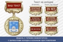 Медаль с гербом города Снежногорска Мурманской области с бланком удостоверения