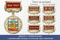 Медаль с гербом города Жукова Калужской области с бланком удостоверения