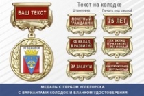 Медаль с гербом города Углегорска Сахалинской области с бланком удостоверения